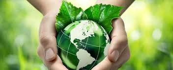 VEGETOL_BLOG LE PETIT VAPOTEUR (1)
